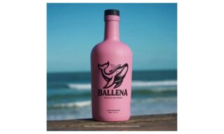 Ballena: o que é, sabores e como vender no iFood, imagem ilustrativa