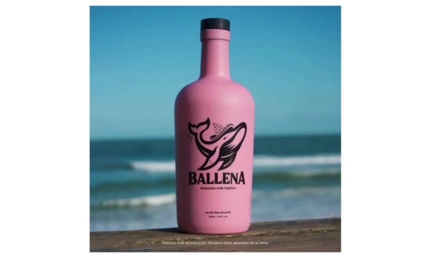 Ballena: o que é, sabores e como vender no iFood, imagem ilustrativa