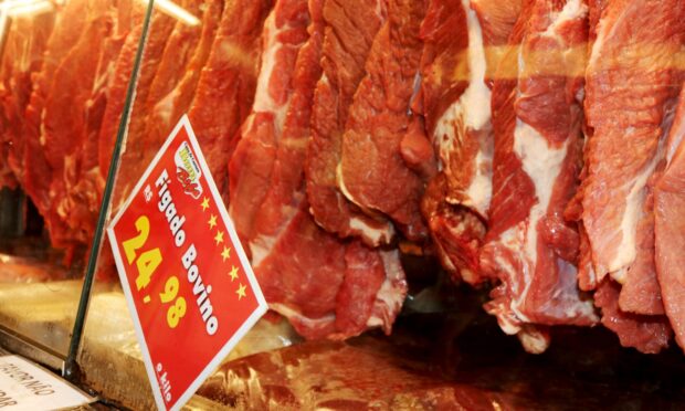 Preço da carne bovina: boi gordo sobe mais de 10% em 12 meses em MT, imagem ilustrativa