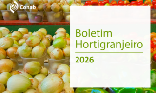Imagem oficial do Boletim Hortigranjeiro 2026 da Conab, com hortaliças ao fundo
