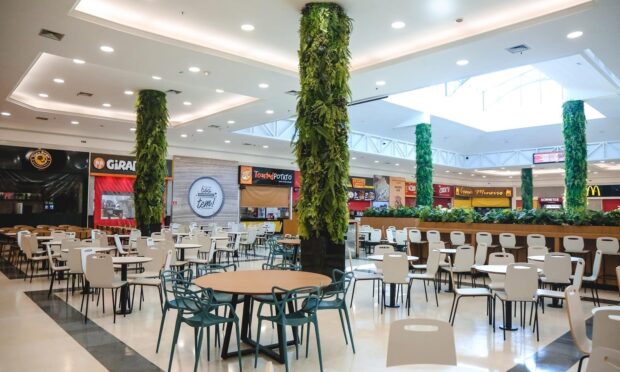 IRCA traz ingredientes premium para food service no Brasil, imagem ilustrativa
