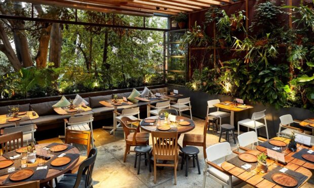 Restaurante no Google e nas IAs: nota 4,3 não basta para aparecer, imagem ilustrativa